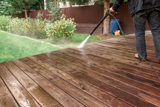 Best Animal Enclosure Cleaning  in Beckley, WV